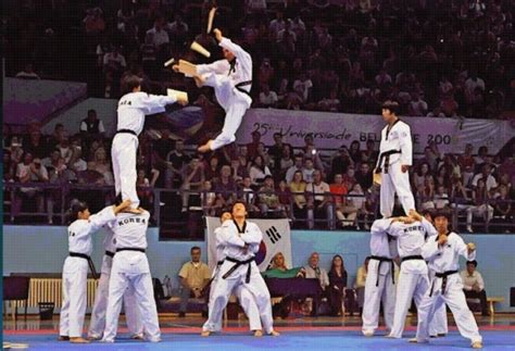 regle taekwondo|Tout savoir sur le taekwondo : règles, techniques, équipement.